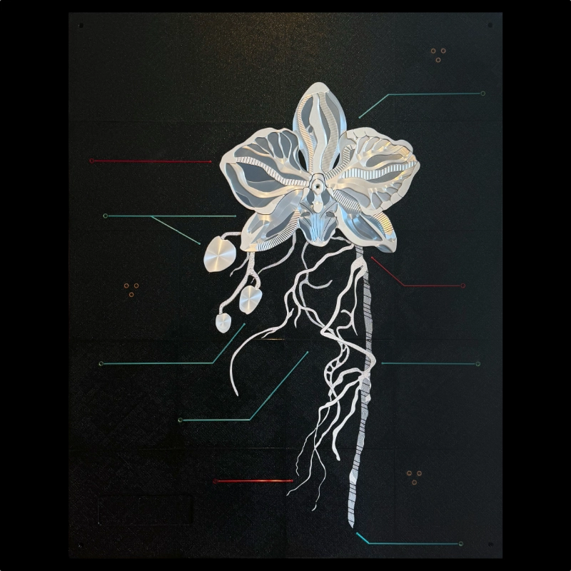 V-XL Art: Planche 002