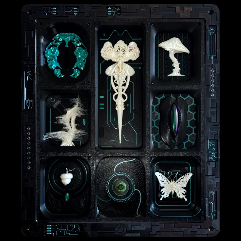V-XL Art: futuristic cabinet of curiosities