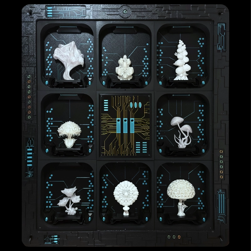 V-XL Art: futuristic cabinet of curiosities